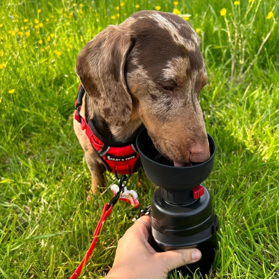 1c6bcc24-ec66-460b-90e7-ebf22fc9e278