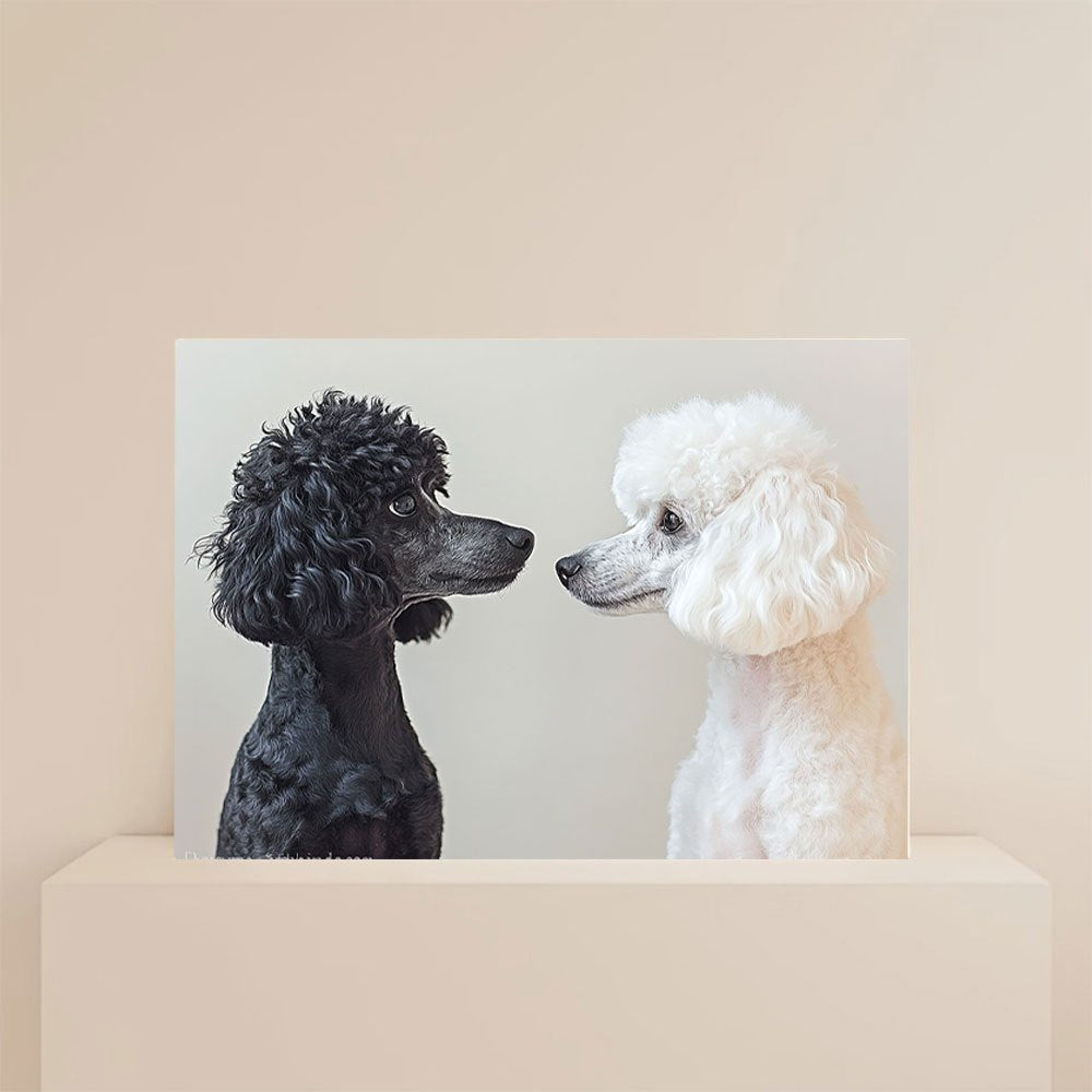 8c3d64320a0b463aae19b09497c0e96e-goods