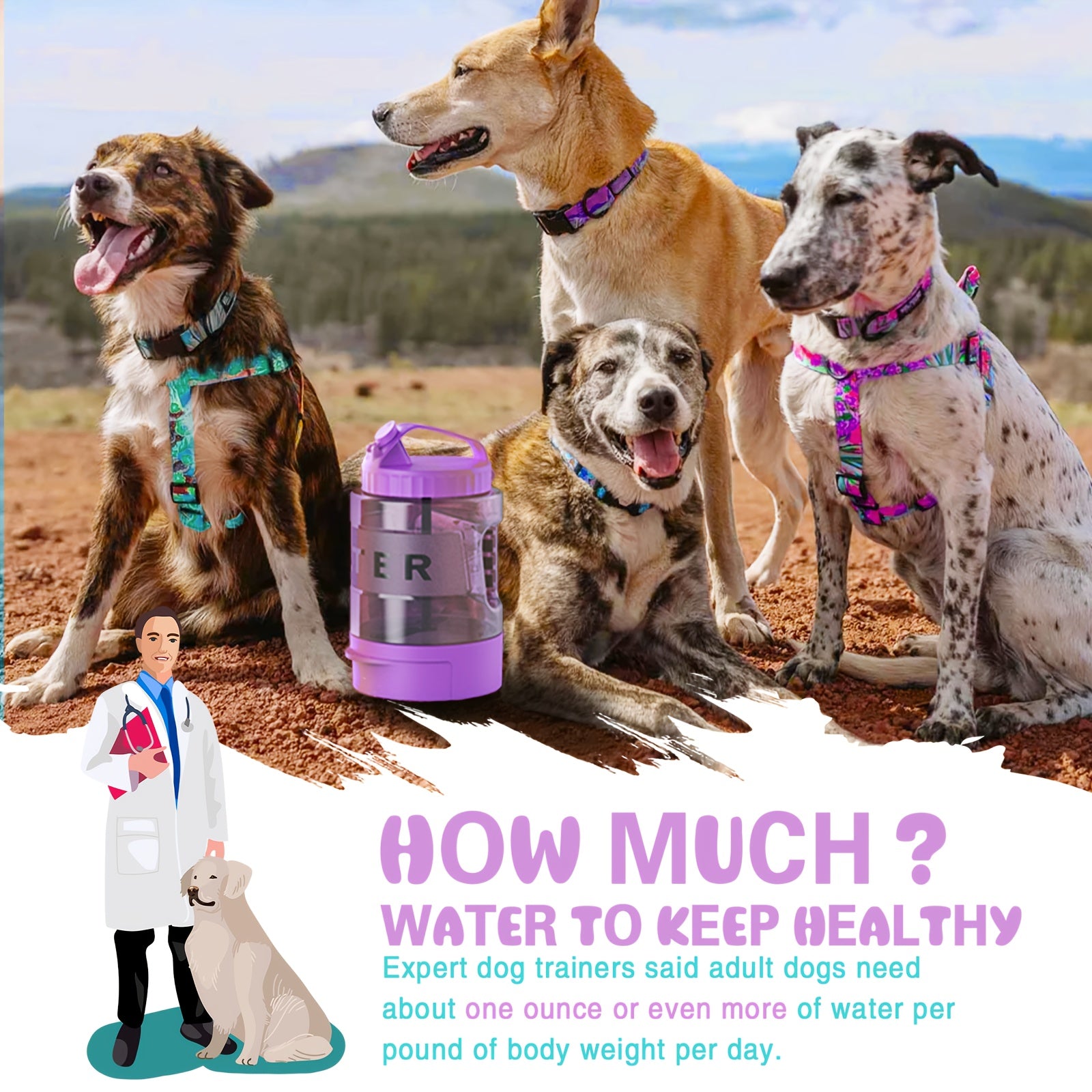 abfe96f7-6a69-4661-90d6-9a6aace2e9a3